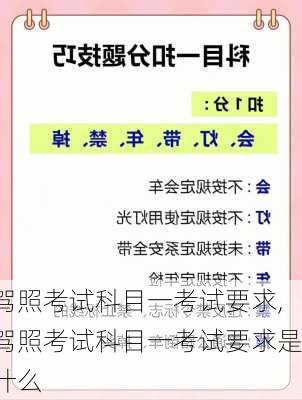 驾照考试科目一考试要求,驾照考试科目一考试要求是什么