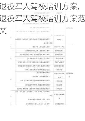 退役军人驾校培训方案,退役军人驾校培训方案范文