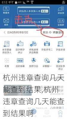 杭州违章查询几天能查到结果,杭州违章查询几天能查到结果啊