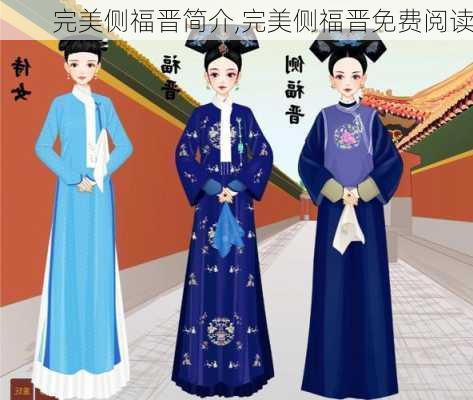 完美侧福晋简介,完美侧福晋免费阅读