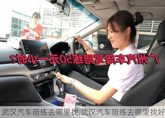 武汉汽车陪练去哪里找,武汉汽车陪练去哪里找好