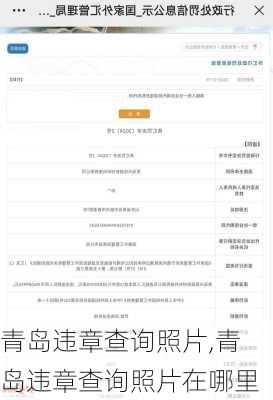 青岛违章查询照片,青岛违章查询照片在哪里