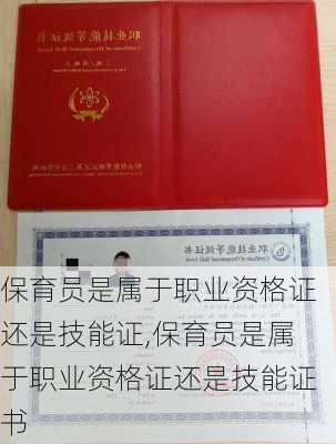 保育员是属于职业资格证还是技能证,保育员是属于职业资格证还是技能证书