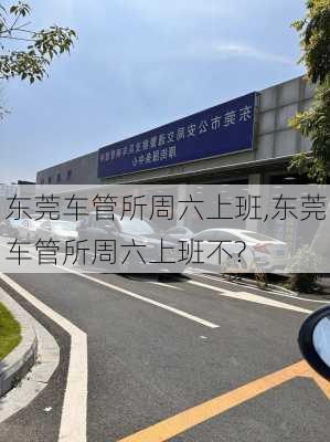 东莞车管所周六上班,东莞车管所周六上班不?