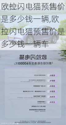 欧拉闪电猫预售价是多少钱一辆,欧拉闪电猫预售价是多少钱一辆车