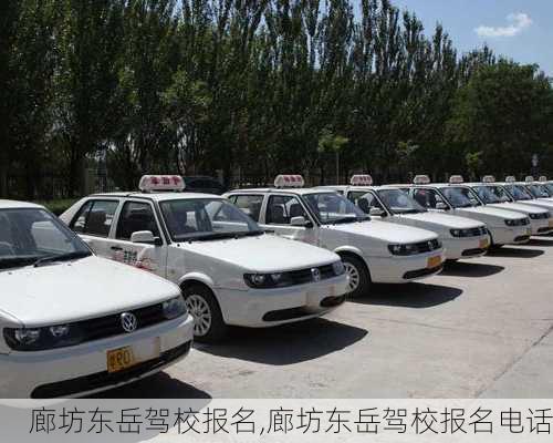 廊坊东岳驾校报名,廊坊东岳驾校报名电话
