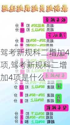 驾考新规科二增加4项,驾考新规科二增加4项是什么
