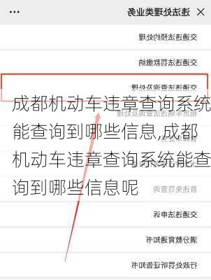 成都机动车违章查询系统能查询到哪些信息,成都机动车违章查询系统能查询到哪些信息呢