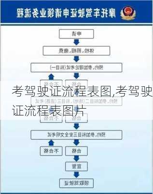 考驾驶证流程表图,考驾驶证流程表图片