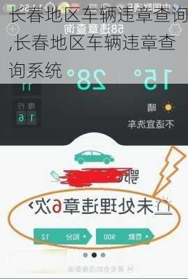 长春地区车辆违章查询,长春地区车辆违章查询系统