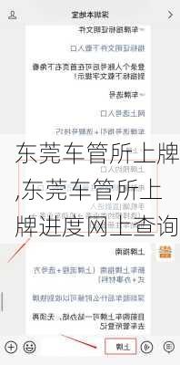 东莞车管所上牌,东莞车管所上牌进度网上查询