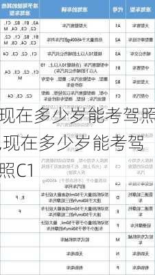 现在多少岁能考驾照,现在多少岁能考驾照C1