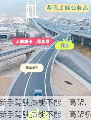 新手驾驶员能不能上高架,新手驾驶员能不能上高架桥