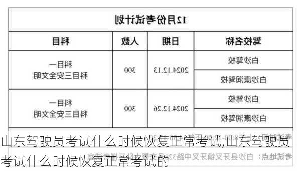 山东驾驶员考试什么时候恢复正常考试,山东驾驶员考试什么时候恢复正常考试的