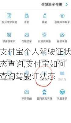 支付宝个人驾驶证状态查询,支付宝如何查询驾驶证状态