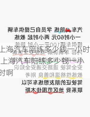 上海汽车陪练多少钱一小时,上海汽车陪练多少钱一小时啊