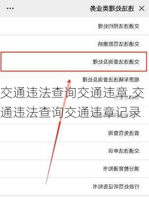 交通违法查询交通违章,交通违法查询交通违章记录