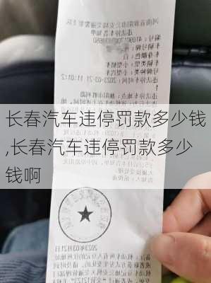 长春汽车违停罚款多少钱,长春汽车违停罚款多少钱啊