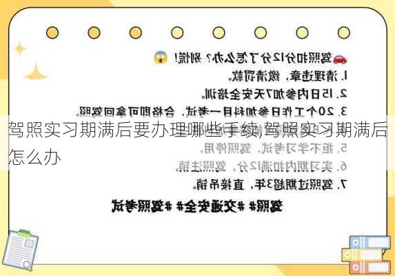 驾照实习期满后要办理哪些手续,驾照实习期满后怎么办