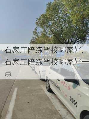 石家庄陪练驾校哪家好,石家庄陪练驾校哪家好一点