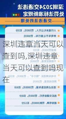 深圳违章当天可以查到吗,深圳违章当天可以查到吗现在