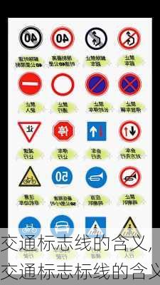 交通标志线的含义,交通标志标线的含义