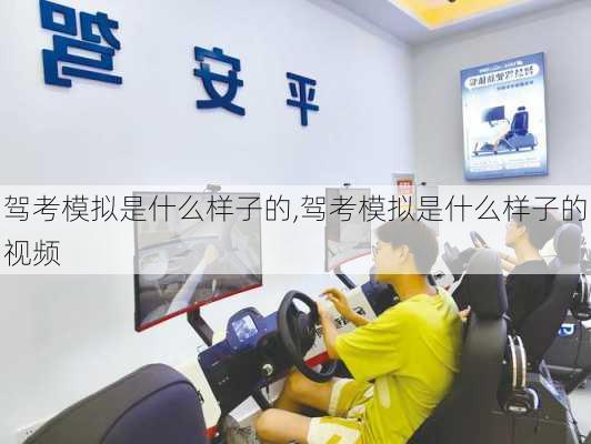 驾考模拟是什么样子的,驾考模拟是什么样子的视频