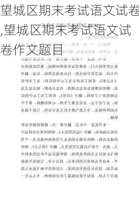 望城区期末考试语文试卷,望城区期末考试语文试卷作文题目