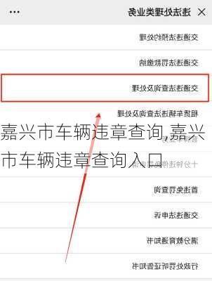 嘉兴市车辆违章查询,嘉兴市车辆违章查询入口