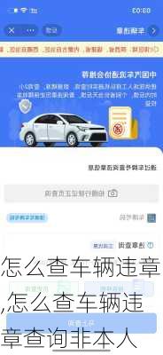 怎么查车辆违章,怎么查车辆违章查询非本人