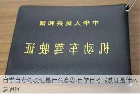 自学自考驾驶证是什么意思,自学自考驾驶证是什么意思啊