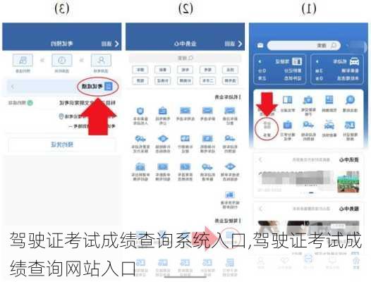 驾驶证考试成绩查询系统入口,驾驶证考试成绩查询网站入口