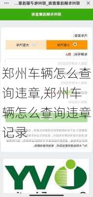 郑州车辆怎么查询违章,郑州车辆怎么查询违章记录