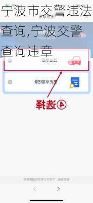 宁波市交警违法查询,宁波交警查询违章