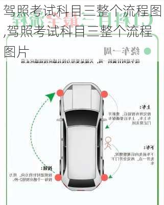 驾照考试科目三整个流程图,驾照考试科目三整个流程图片