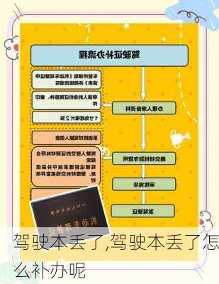 驾驶本丢了,驾驶本丢了怎么补办呢