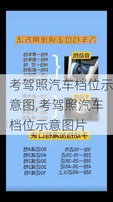 考驾照汽车档位示意图,考驾照汽车档位示意图片