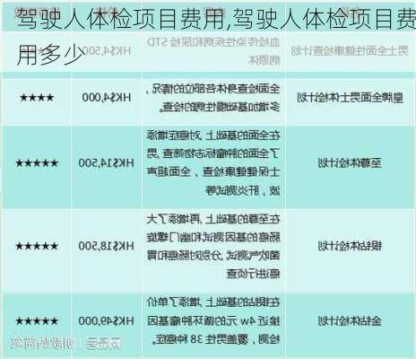 驾驶人体检项目费用,驾驶人体检项目费用多少