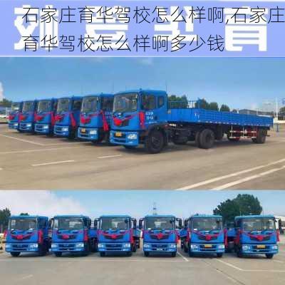 石家庄育华驾校怎么样啊,石家庄育华驾校怎么样啊多少钱