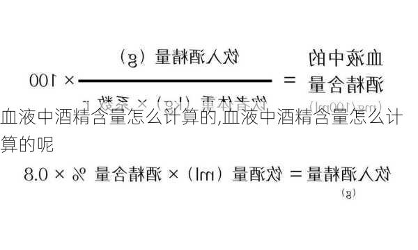 血液中酒精含量怎么计算的,血液中酒精含量怎么计算的呢