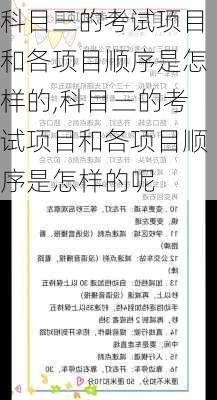 科目三的考试项目和各项目顺序是怎样的,科目三的考试项目和各项目顺序是怎样的呢