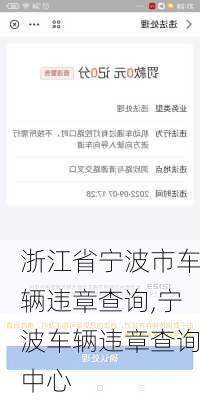 浙江省宁波市车辆违章查询,宁波车辆违章查询中心