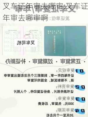 叉车证年审去哪审,叉车证年审去哪审啊