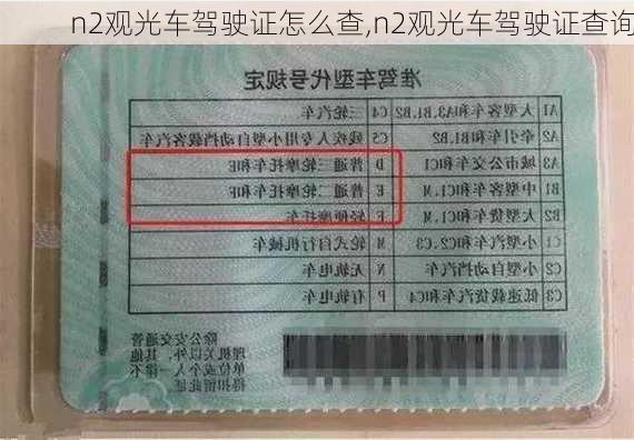 n2观光车驾驶证怎么查,n2观光车驾驶证查询