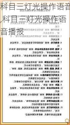 科目三灯光操作语音,科目三灯光操作语音播报