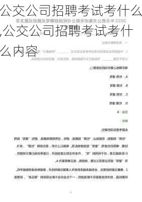公交公司招聘考试考什么,公交公司招聘考试考什么内容