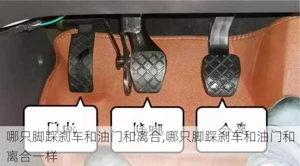 哪只脚踩刹车和油门和离合,哪只脚踩刹车和油门和离合一样