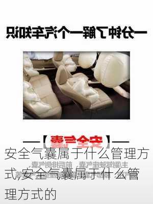 安全气囊属于什么管理方式,安全气囊属于什么管理方式的