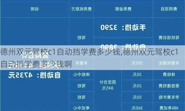 德州双元驾校c1自动挡学费多少钱,德州双元驾校c1自动挡学费多少钱啊