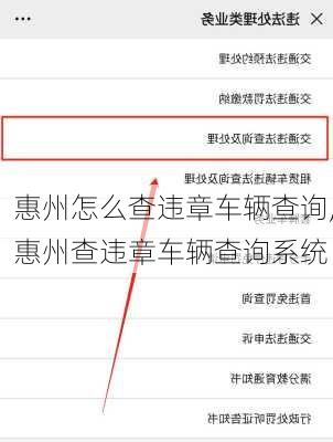 惠州怎么查违章车辆查询,惠州查违章车辆查询系统